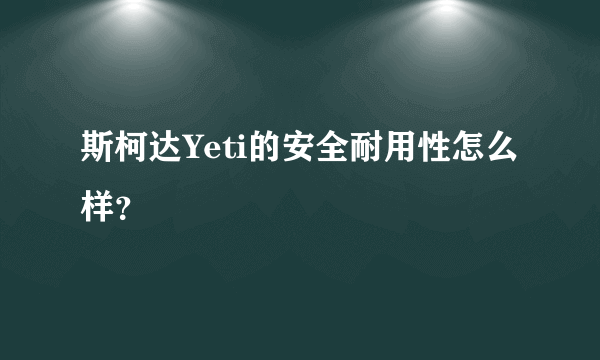 斯柯达Yeti的安全耐用性怎么样？