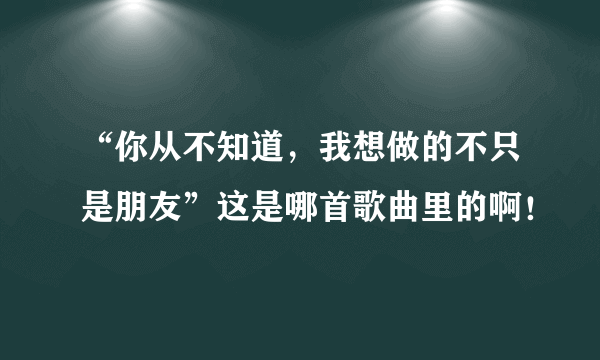 “你从不知道，我想做的不只是朋友”这是哪首歌曲里的啊！