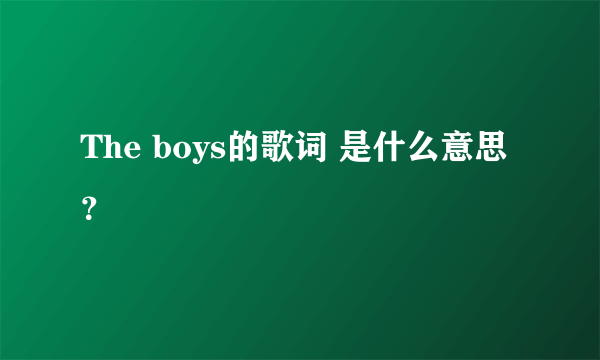 The boys的歌词 是什么意思？