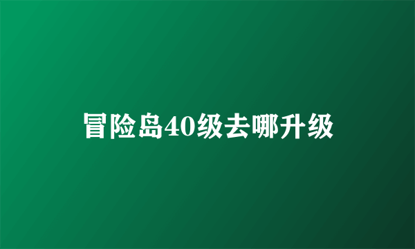 冒险岛40级去哪升级