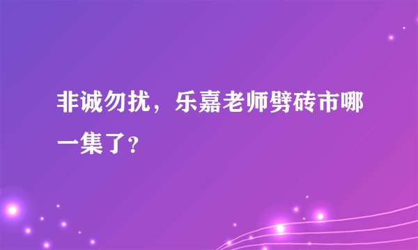 非诚勿扰，乐嘉老师劈砖市哪一集了？