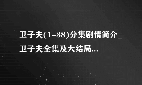 卫子夫(1-38)分集剧情简介_卫子夫全集及大结局剧情介绍-飞外网