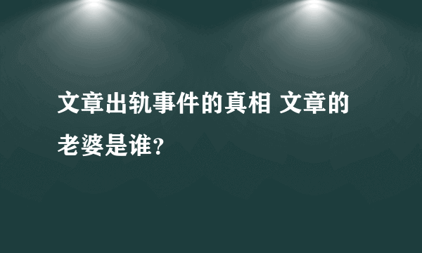 文章出轨事件的真相 文章的老婆是谁？