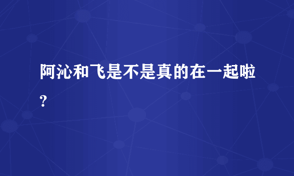 阿沁和飞是不是真的在一起啦?