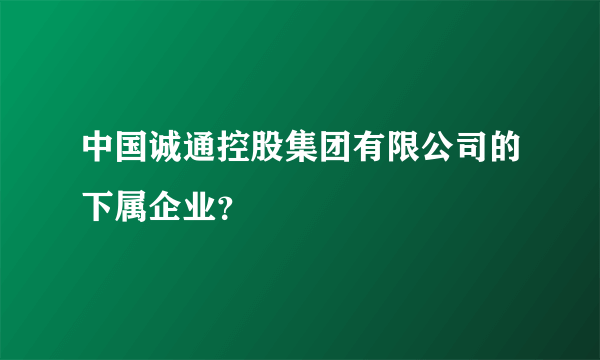 中国诚通控股集团有限公司的下属企业？