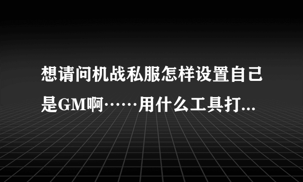 想请问机战私服怎样设置自己是GM啊……用什么工具打开啊……我是新手……请高手逐一解答