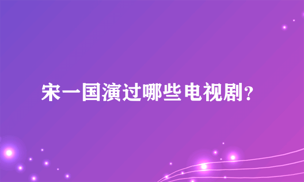 宋一国演过哪些电视剧？