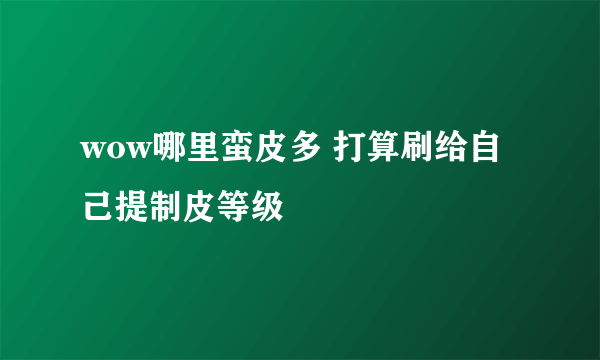 wow哪里蛮皮多 打算刷给自己提制皮等级