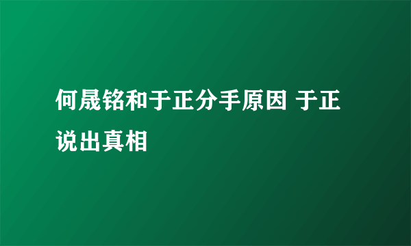 何晟铭和于正分手原因 于正说出真相