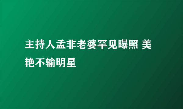 主持人孟非老婆罕见曝照 美艳不输明星