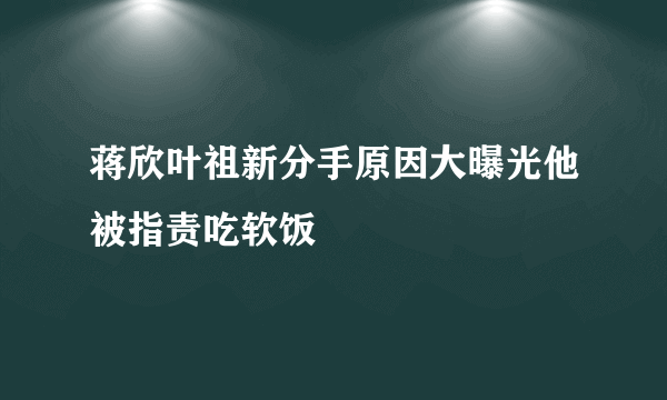 蒋欣叶祖新分手原因大曝光他被指责吃软饭