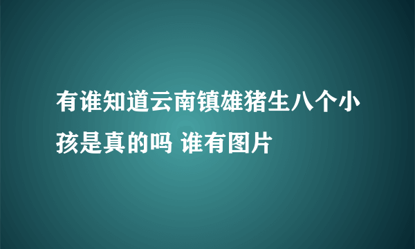 有谁知道云南镇雄猪生八个小孩是真的吗 谁有图片