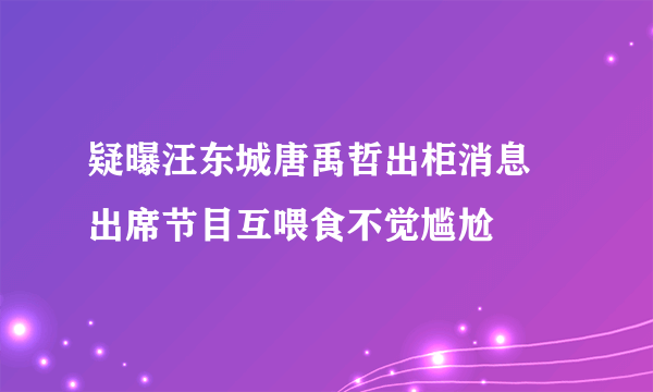 疑曝汪东城唐禹哲出柜消息 出席节目互喂食不觉尴尬