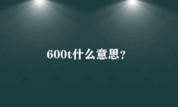 600t什么意思？