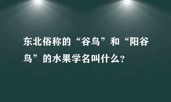 东北俗称的“谷鸟”和“阳谷鸟”的水果学名叫什么？