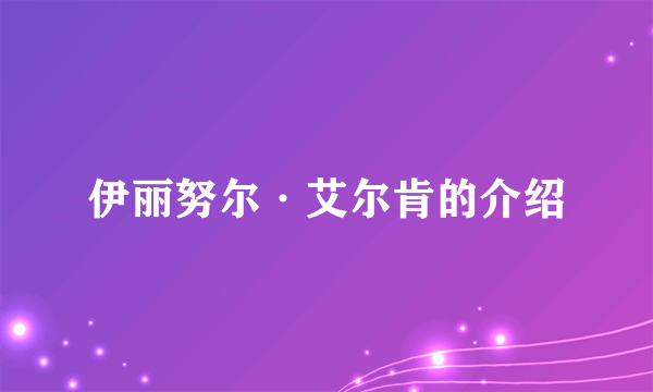 伊丽努尔·艾尔肯的介绍