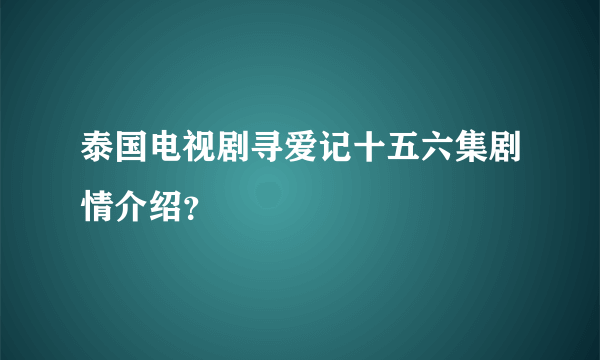 泰国电视剧寻爱记十五六集剧情介绍？