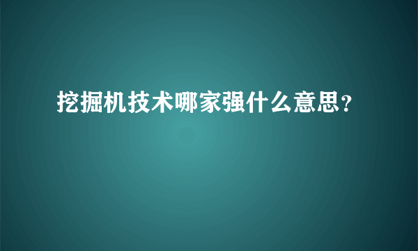 挖掘机技术哪家强什么意思？