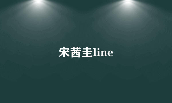 宋茜圭line