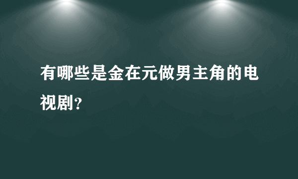 有哪些是金在元做男主角的电视剧？