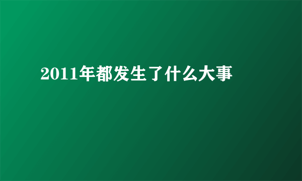 2011年都发生了什么大事