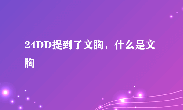 24DD提到了文胸，什么是文胸