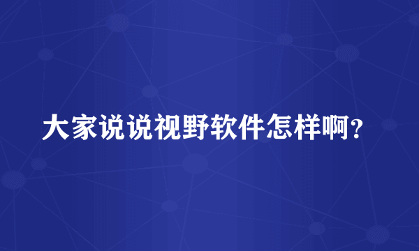 大家说说视野软件怎样啊？