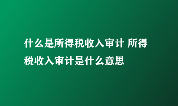 什么是所得税收入审计 所得税收入审计是什么意思