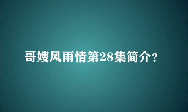 哥嫂风雨情第28集简介？