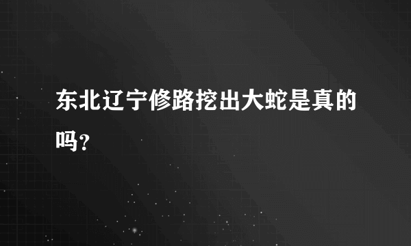 东北辽宁修路挖出大蛇是真的吗？