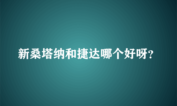 新桑塔纳和捷达哪个好呀？