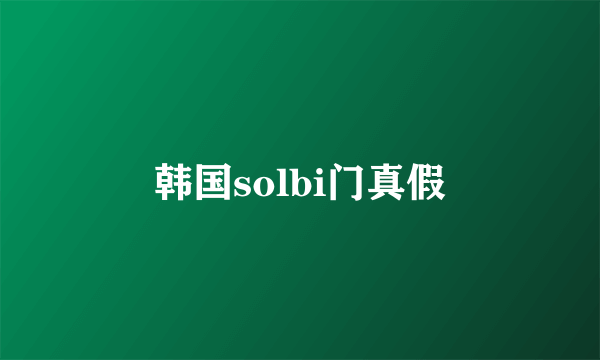 韩国solbi门真假