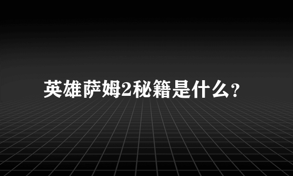 英雄萨姆2秘籍是什么？