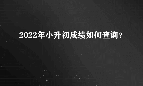 2022年小升初成绩如何查询？