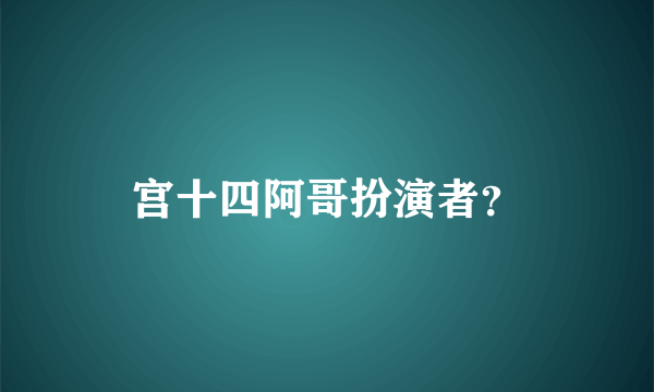 宫十四阿哥扮演者？