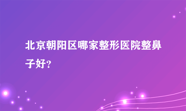 北京朝阳区哪家整形医院整鼻子好？