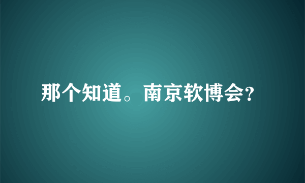 那个知道。南京软博会？