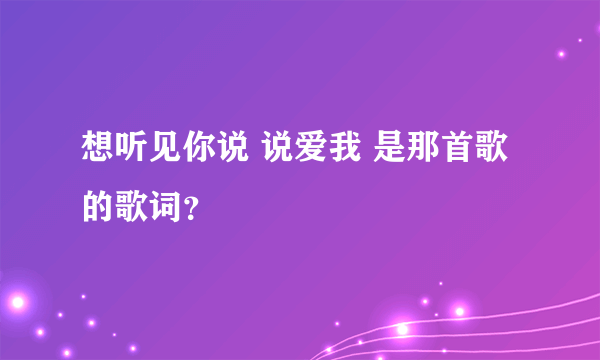 想听见你说 说爱我 是那首歌的歌词？