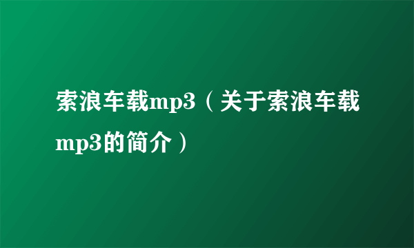 索浪车载mp3（关于索浪车载mp3的简介）