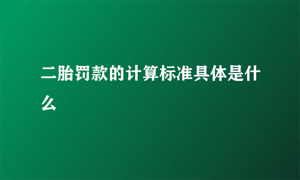 二胎罚款的计算标准具体是什么