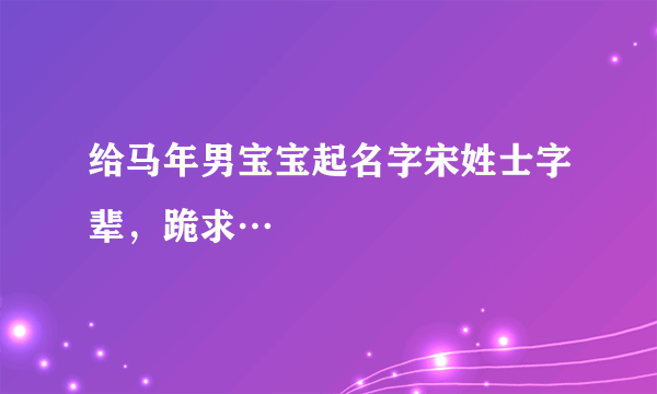 给马年男宝宝起名字宋姓士字辈，跪求…