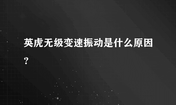 英虎无级变速振动是什么原因？