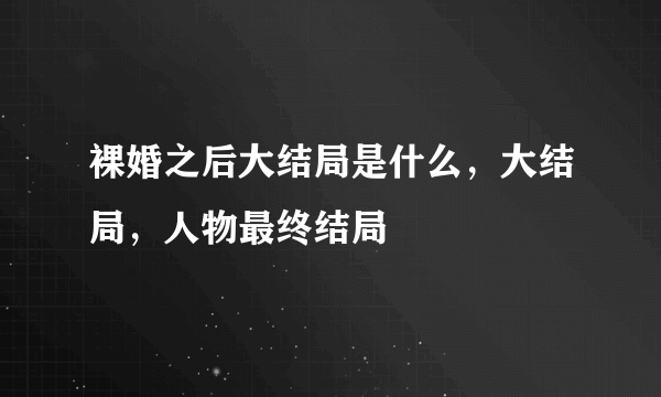 裸婚之后大结局是什么，大结局，人物最终结局