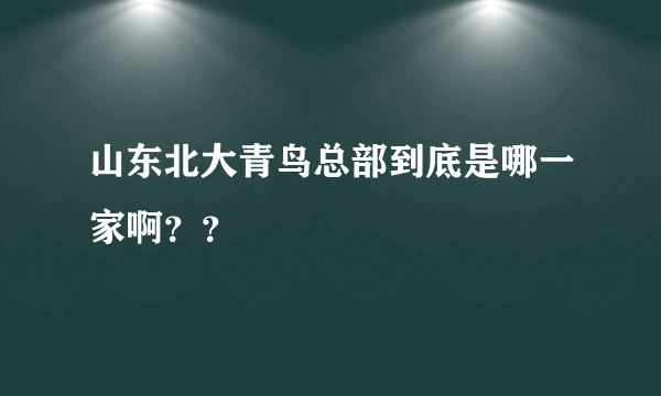 山东北大青鸟总部到底是哪一家啊？？