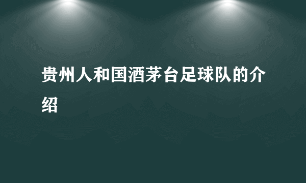 贵州人和国酒茅台足球队的介绍