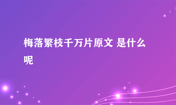 梅落繁枝千万片原文 是什么呢