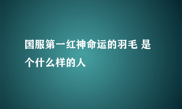 国服第一红神命运的羽毛 是个什么样的人