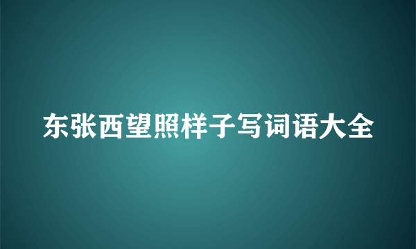 东张西望照样子写词语大全