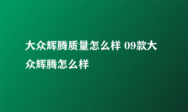 大众辉腾质量怎么样 09款大众辉腾怎么样