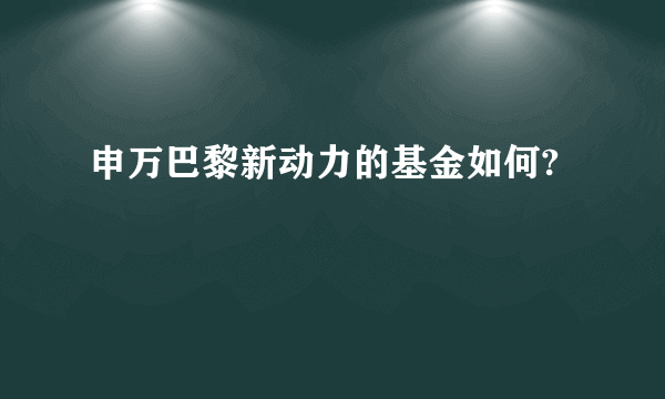 申万巴黎新动力的基金如何?